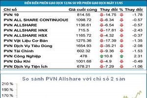 PVN- Index cùng nhịp với thị trường